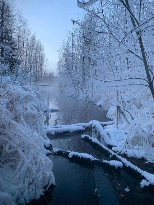 Зимний лес Город Мегион - Олег Тулузаков