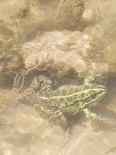 В мутной водице - ketrin-ketrina@mail.ru