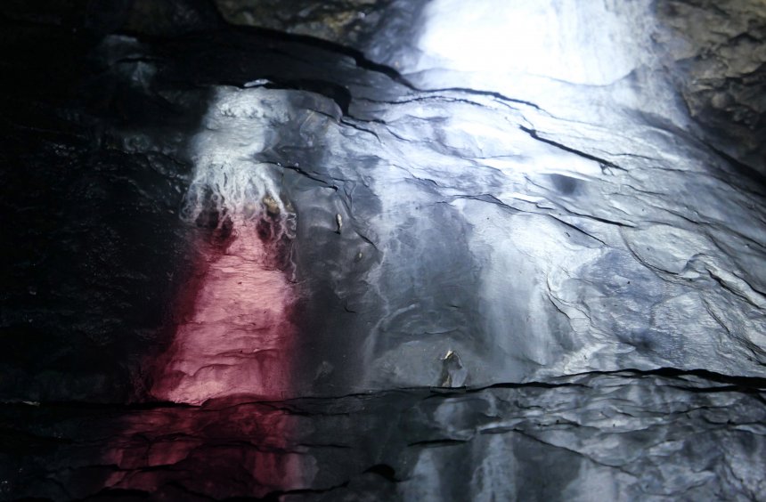 Дама с тонкой талией -  