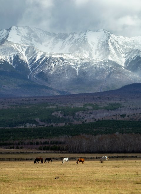 В долинах Восточного Саяна -  
