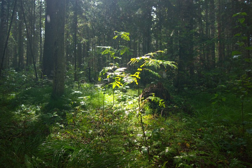 После дождя☔ - Илья