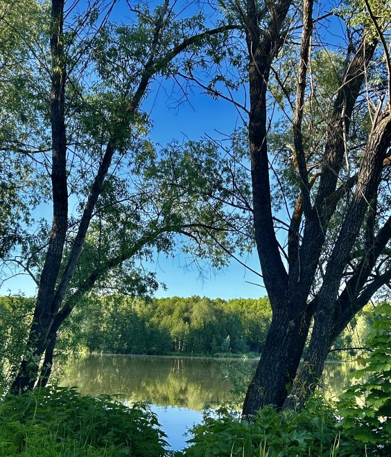 Зузеевское водохранилище,Республика Татарстан -  