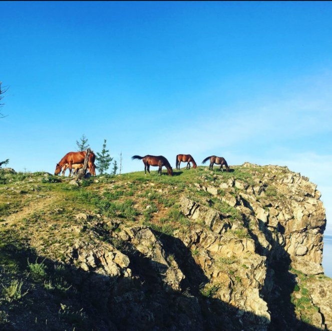 Лударь - Анна