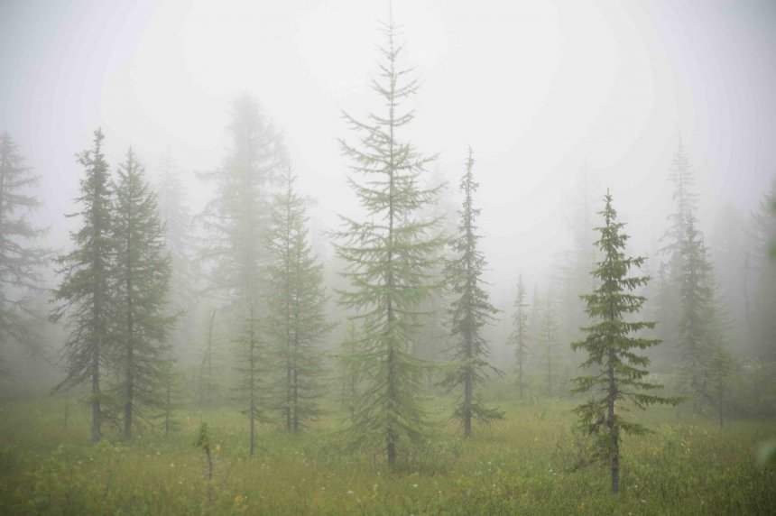 Поход на плато Путорана -   (1/8)