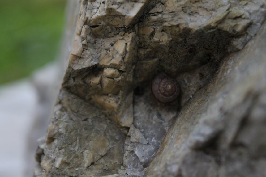 Местный житель - Валерия