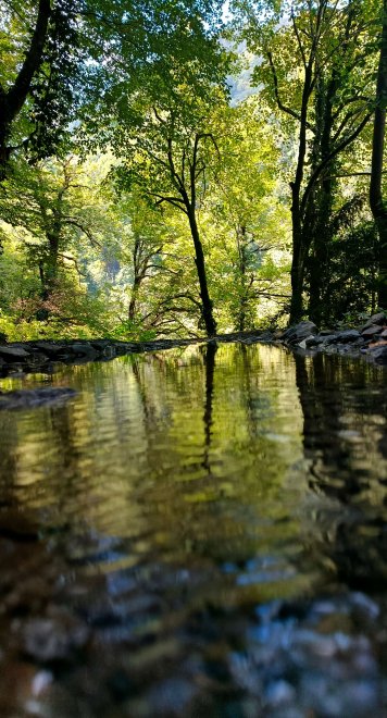 Зеркало природы - Матяш Никита