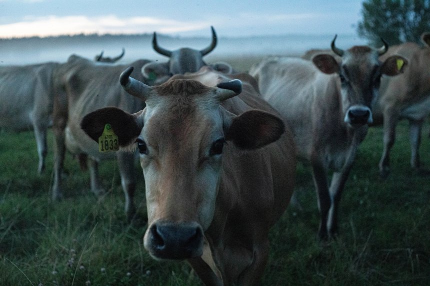 Глаза в глаза - Оксана