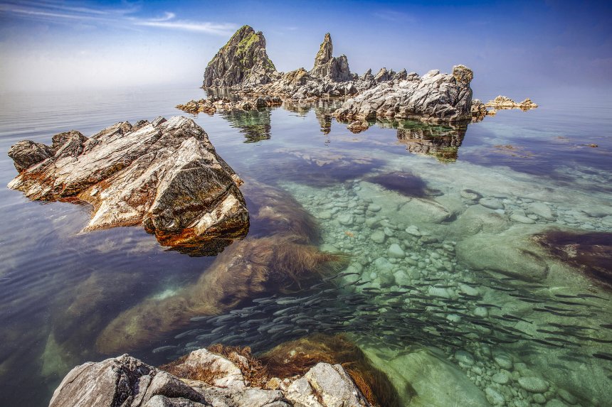 Гармония природы - Игорь Егоров