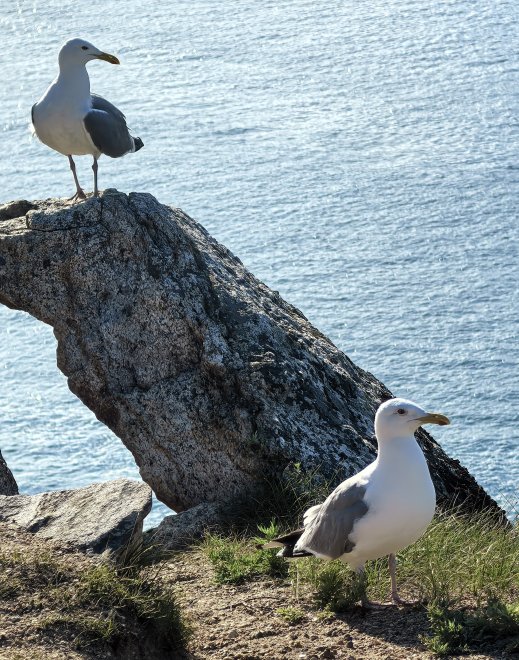 На страже - Виктория