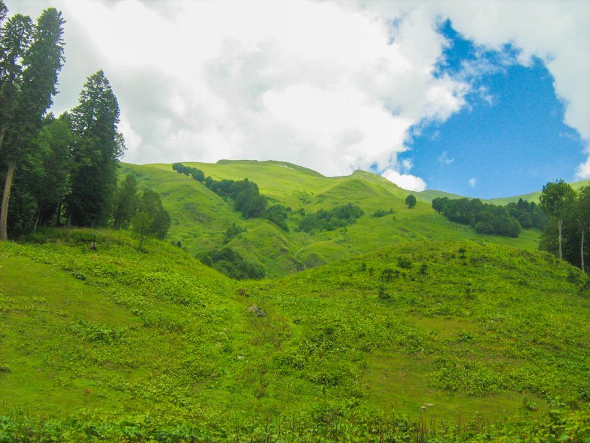 Ауадхара - Анастасия Слобцова