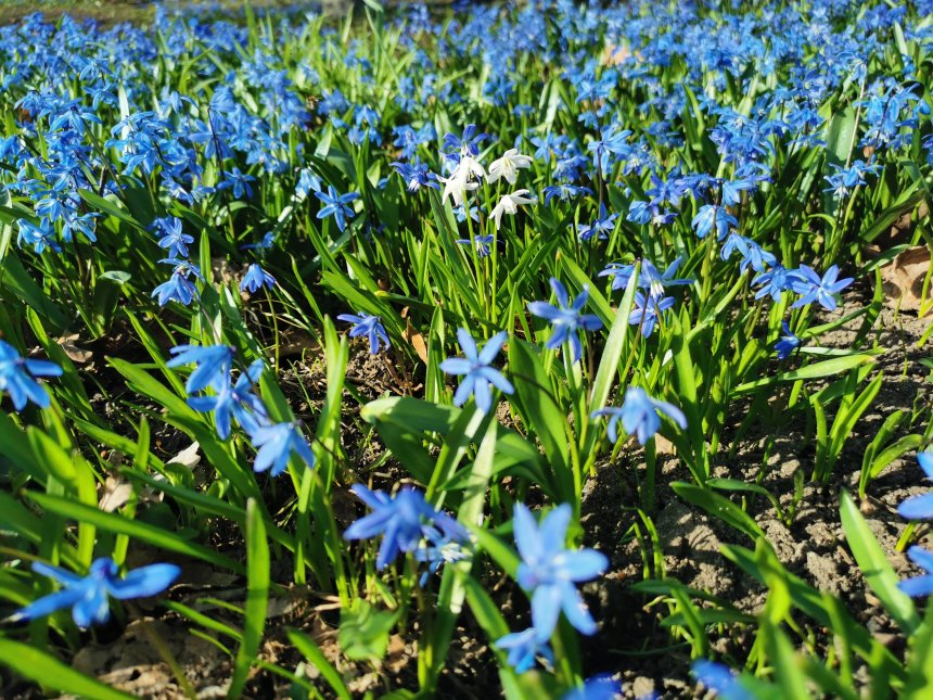Свой среди чужих, чужой среди своих - Евгений Выборных