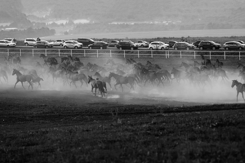 Движение -   (1/3)