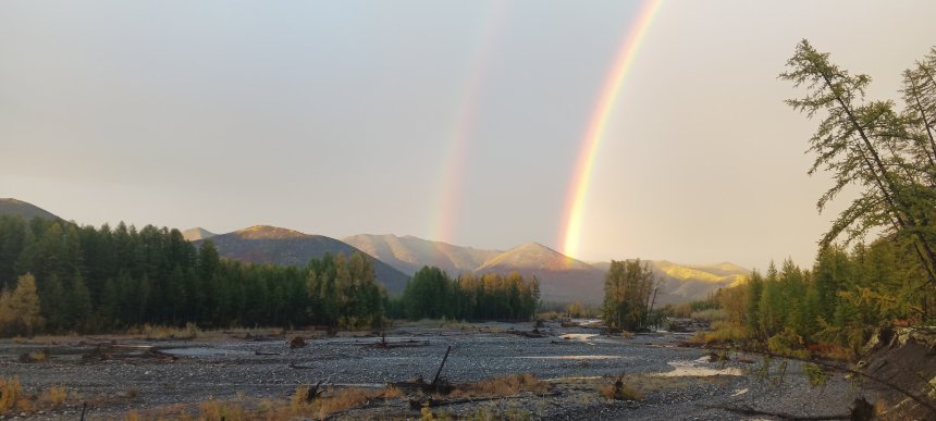 Золото там - Бурцев Артем (1/3)
