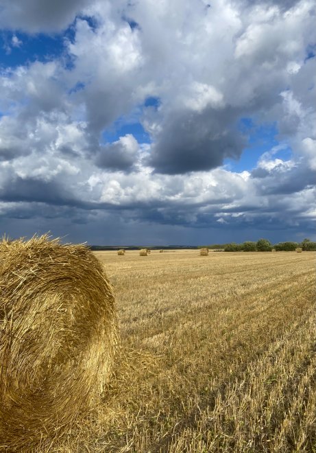 Тишина перед бурей - Илнур
