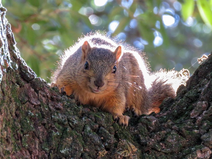 Улыбка январского солнца - Игорь