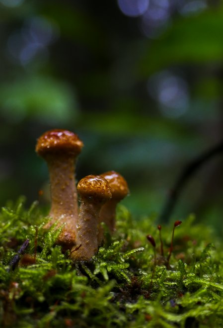 Осенняя пора - Даниил