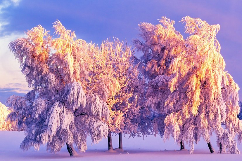 Как снять на телефон идеальный зимний пейзаж